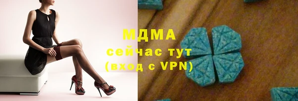 спиды Богданович