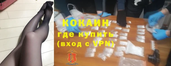 спиды Богданович