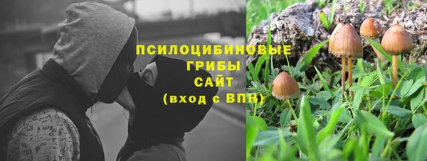 спиды Богданович