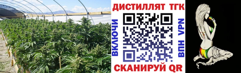 Дистиллят ТГК жижа Правдинск