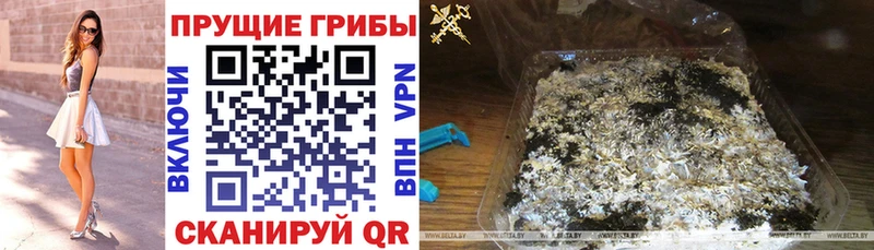 Купить  Правдинск  Галлюциногенные грибы ЛСД 